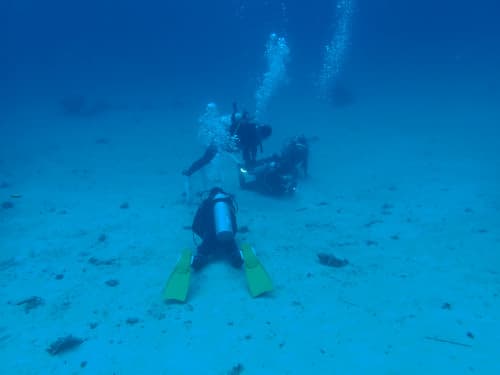 バリ島くらげ村の案内で潜っているムンジャンガンのダイビングポイント“イールガーデン”でハゼを撮影するスキルの高いダイビングゲスト様たち