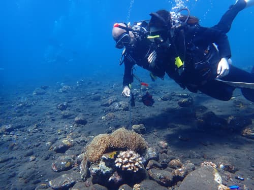 バリ島トランベンで体験ダイビングでカクレクマノミを日本人インストラクターに見せてもらう女性ゲスト