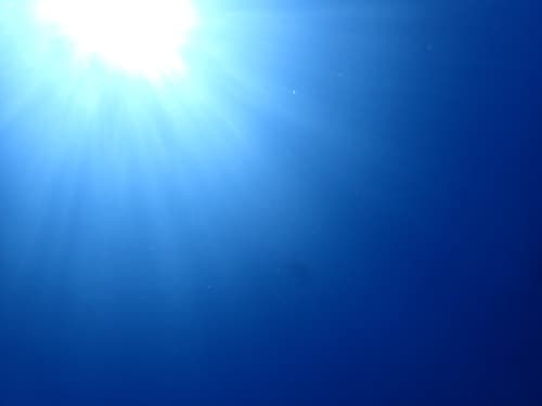 水中から見上げる陽光