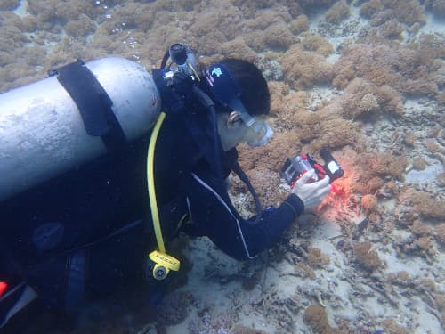 バリ島パダンバイでウミウシ撮影を楽しむ女性ダイバー