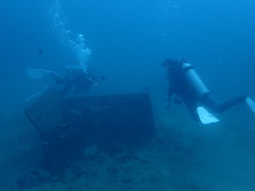 バリ島パダンバイのダイビングポイント“タンジュンジュプン”の漁礁周りで生物を探すダイバー