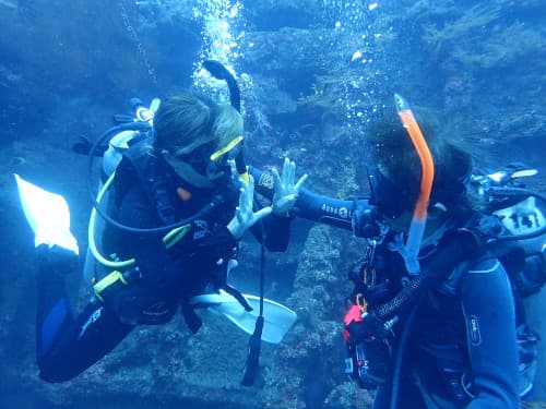 バリ島くらげ村の日本人インストラクターのスローダイブサポートでバリ島の海を安心して楽しんでいる初心者ダイバー