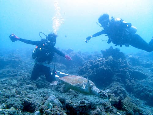 安全ダイビングでウミガメと3ショット