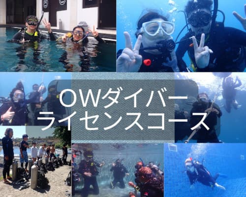 ＯWダイバーダイバーコースバナー
