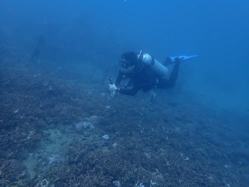 雨季のバリ島パダンバイでダイビングを安心して楽しむくらげ村のダイバー