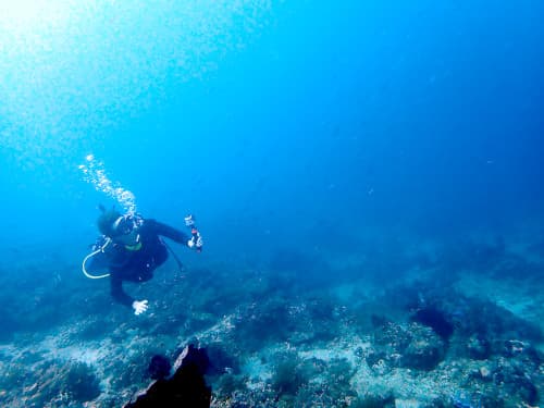 バリ島アメッドの沖側の魚影を眺めるダイバー