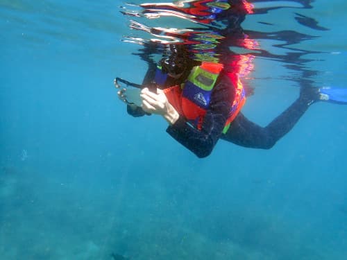 防水ケースに入れたスマホで水中撮影を試みるライフジャケットを着たシュノーケラー