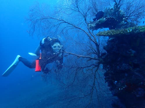バリ島の海をリラックスして楽しむベテランダイバー