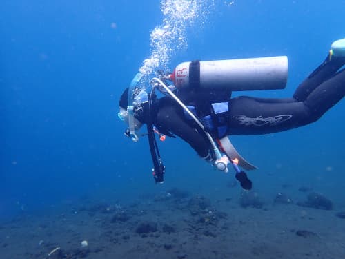 バリ島の海をくらげ村のガイドでのんびり楽しむダイバー