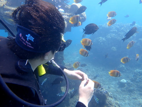 バリ島アメッドの体験ダイビングでたくさんのお魚と戯れるゲスト