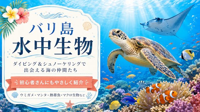 バリ島の水中生物図鑑｜ダイビングで出会える海の生き物
