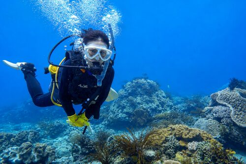 一人参加のペーパーダイバーがバリ島の海を楽しんでいる様子