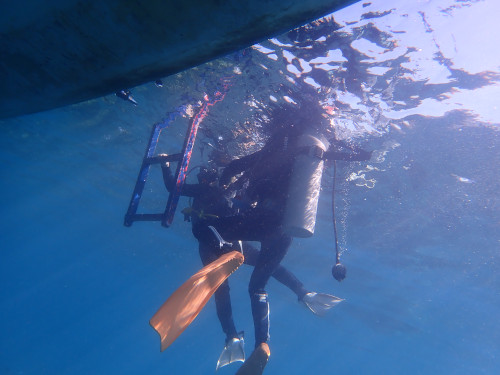 水面で体験ダイビングのレギュレータ呼吸の練習をしているダイバー