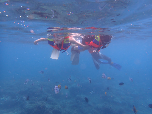 初めてのバリ島シュノーケリングで親子一緒に魚を観察する様子