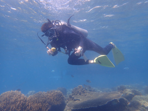 家族旅行でファンダイビングを楽しみながらバリ島のサンゴ礁を泳ぐダイバー