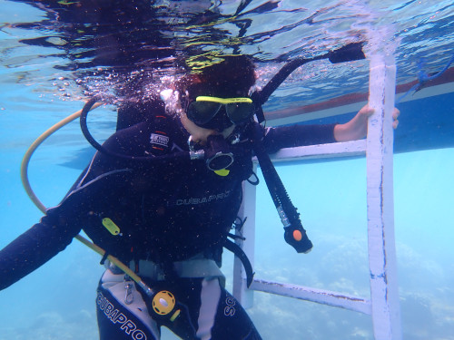 体験ダイビング前にボートラダーにつかまりながら水面で呼吸の練習をするゲスト