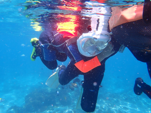 親子で水面に浮かびながらシュノーケリングを楽しむ様子