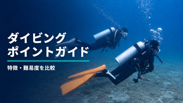 バリ島の海で砂地の上を泳ぐ2人のダイバー