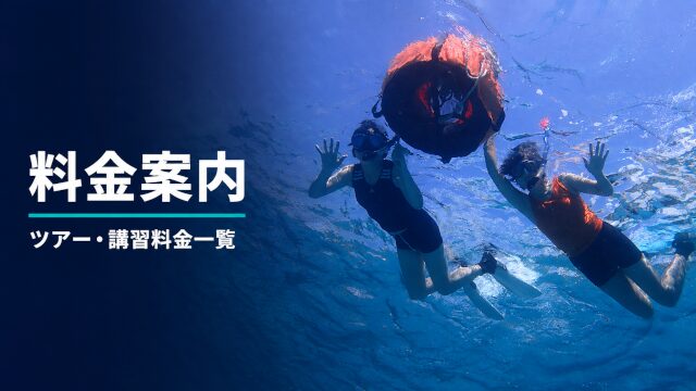 バリ島の海でシュノーケリングを楽しむ二人とツアー料金案内