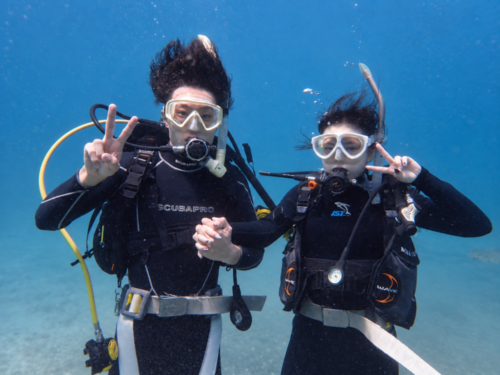 バリ島で初めての体験ダイビングを楽しみ水中で手をつなぐ大学生カップル