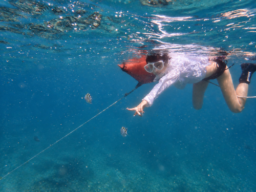 バリ島の海でフロートにつかまりながら、熱帯魚に手を伸ばす女性シュノーケラー
