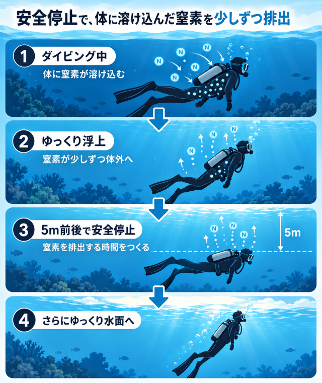 ダイビング中に体へ溶け込んだ窒素を、ゆっくり浮上し水深5m前後で安全停止して排出する流れのイラスト